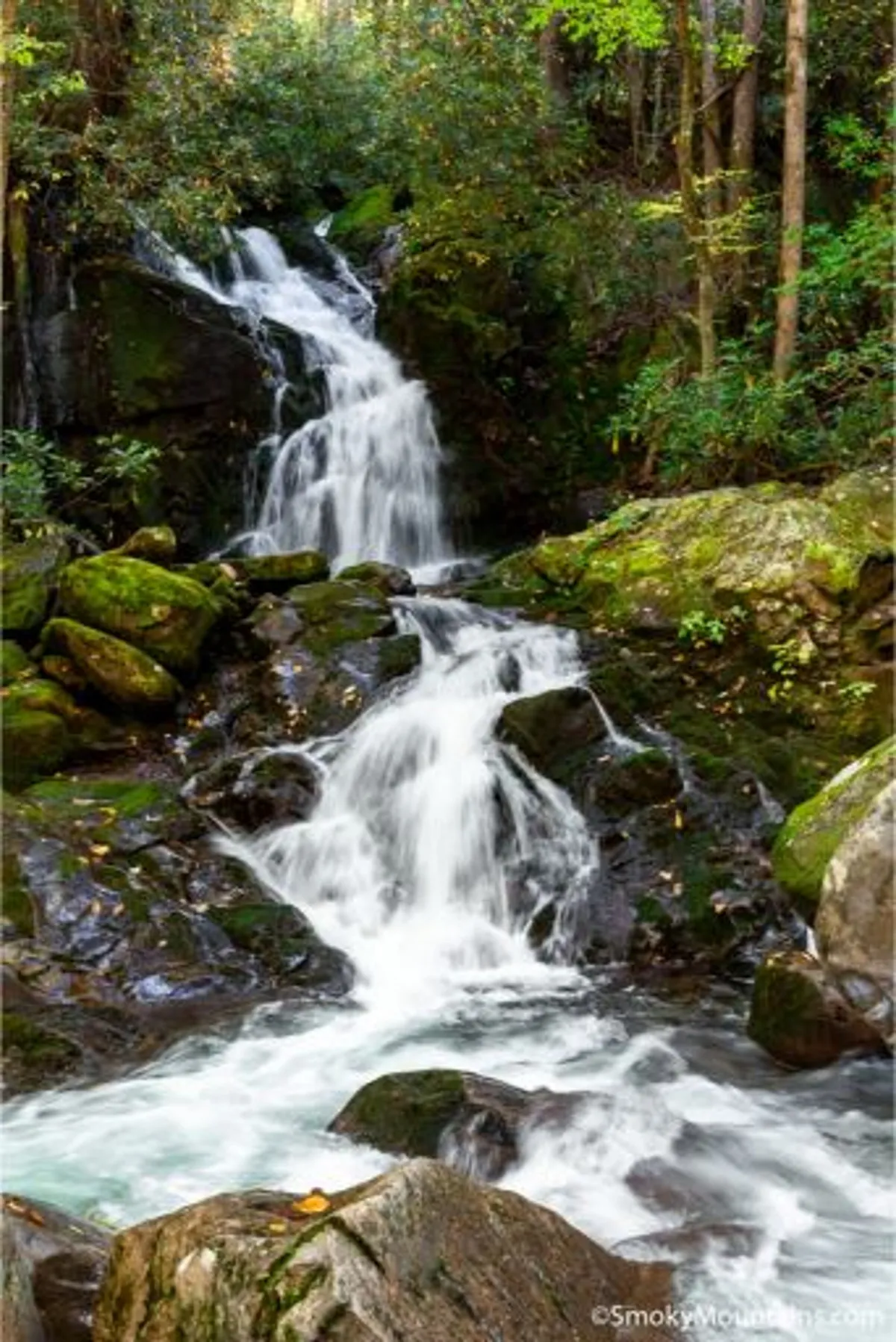 A dramatic waterfall cascades over rock formations, framed by lush greenery. The area looks inviting for a hike, family picnic, or simply enjoying the sights and sounds of nature.