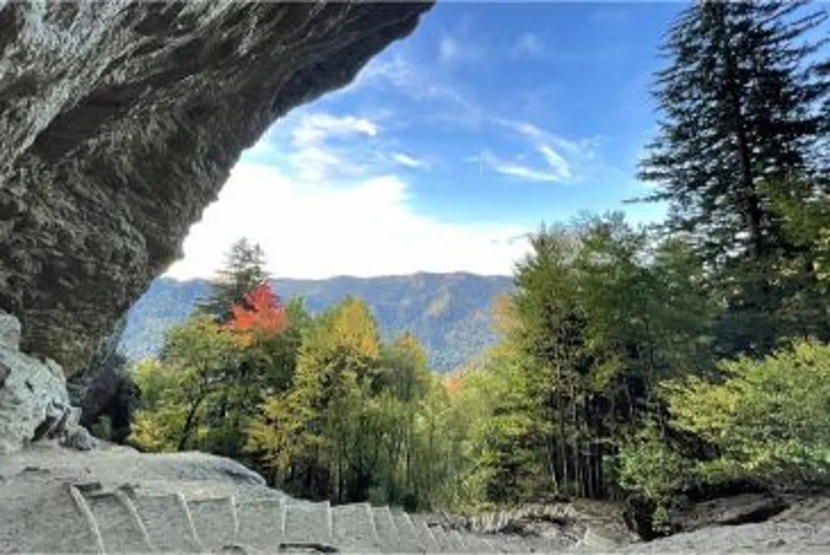 This image captures a breathtaking mountain view with a dramatic rock formation in the foreground and a tapestry of colorful autumn trees, portraying the vastness and beauty of the Smokies. The scene evokes a sense of adventure and discovery, perfect for hiking, nature photography, and wildlife watching.
